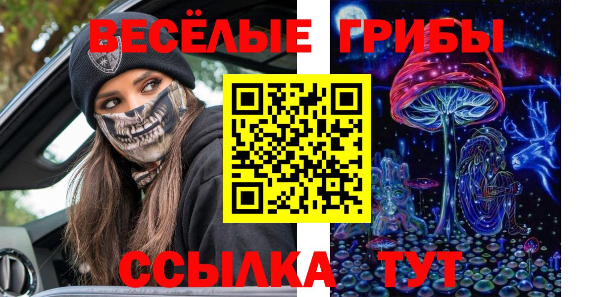 Галлюциногенные грибы Psilocybine cubensis  Вход с VPN  Вышний Волочёк  Галлюциногенные грибы прущие грибы 