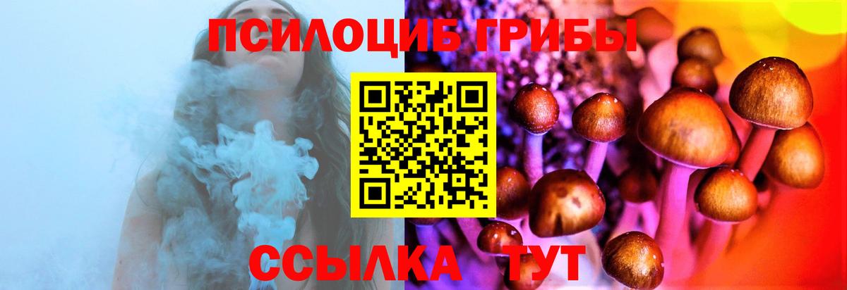 Галлюциногенные грибы мицелий Вышний Волочёк